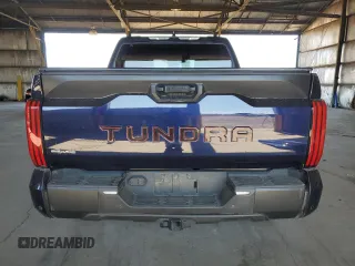 2022 Toyota Tundra SR5 with VIN 5TFLA5DB3NX028618, listed as a Copart auction lot 61807005 with 9,797 mi miles and Salvage title. Bid and sale history available at DreamBid. Image 6.