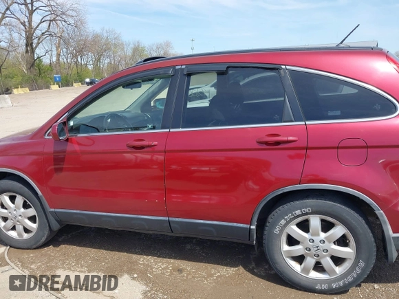 2008 Honda CR-V EX-L with VIN JHLRE48788C040261, listed as a IAAI auction lot 42006522 with 217,744 mi miles. Bid and sale history available at carsss.com. Image 14.