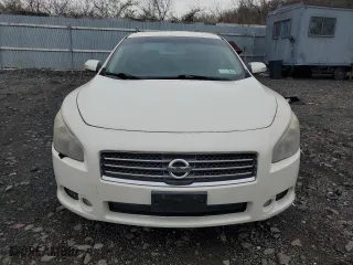 2009 Nissan Maxima 3.5 SV w/Sport Pkg with VIN 1N4AA51E89C842983, listed as a Copart auction lot 51309885 with 80,844 mi miles and Salvage Title. Bid and sale history available at carsss.com. Image 5.