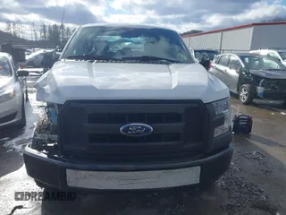 2017 Ford F-150 XL with VIN 1FTFX1EF9HFC85427, listed as a IAAI auction lot 41595903 with 176,235 mi miles. Bid and sale history available at carsss.com. Image 12.