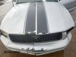 2006 Ford Mustang Standard with VIN 1ZVFT84N265254517, listed as a Copart auction lot 54133895 with 144,151 mi miles and Clean Title. Bid and sale history available at carsss.com. Image 13.