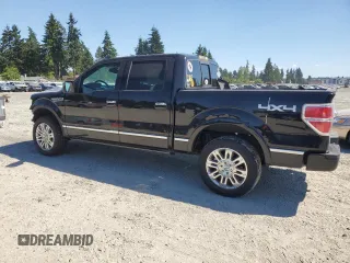 2009 Ford F-150 XL with VIN 1FTPW14V59FA44112, listed as a Copart auction lot 63436815 with 255,464 mi miles and Salvage title. Bid and sale history available at DreamBid. Image 2.