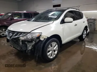 2013 Nissan Murano SV with VIN JN8AZ1MW8DW314047, listed as a Copart auction lot 49010405 with 161,773 mi miles and Salvage Title. Bid and sale history available at carsss.com. Image 1.