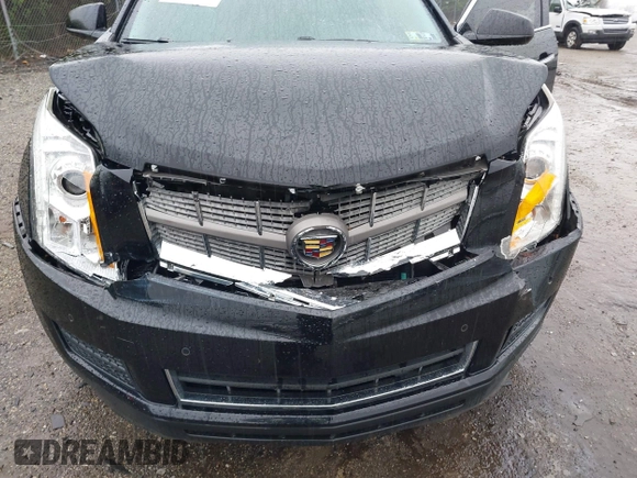 2010 Cadillac SRX Luxury Collection with VIN 3GYFNAEY4AS649868, listed as a IAAI auction lot 41935574 with 183,826 mi miles. Bid and sale history available at carsss.com. Image 10.