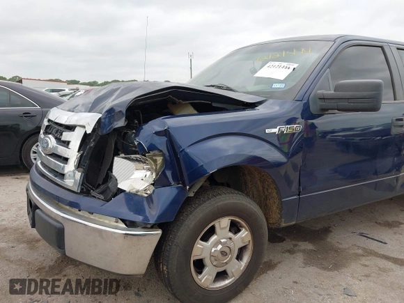 2009 Ford F-150 STX with VIN 1FTRX12889FA97356, listed as a IAAI auction lot 42121444 with 166,010 mi miles and . Bid and sale history available at DreamBid. Image 6.