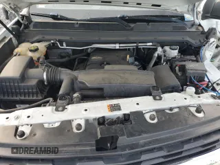 2020 Chevrolet Colorado 2WD Work Truck with VIN 1GCHSBEA0L1116081, listed as a Copart auction lot 61412925 with 163,836 mi miles and Non repairable. Bid and sale history available at DreamBid. Image 11.