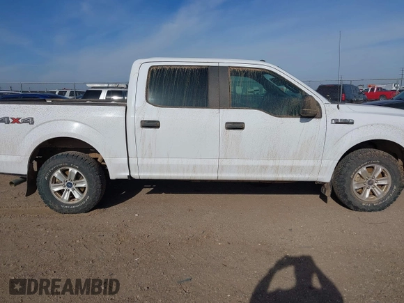 2019 Ford F-150 XL with VIN 1FTEW1E52KKC94894, listed as a IAAI auction lot 41880412 with 133,355 mi miles. Bid and sale history available at carsss.com. Image 13.