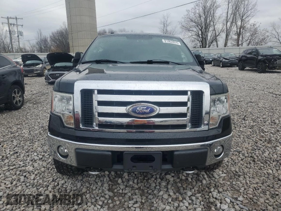 2009 Ford F-150 XL with VIN 1FTPX14V89FA69759, listed as a Copart auction lot 81952824 with 160,210 mi miles and Clean Title. Bid and sale history available at carsss.com. Image 5.