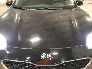 2021 Kia Sportage LX with VIN KNDPM3AC3M7844446, listed as a Copart auction lot 52189735 with 43,814 mi miles and Clean Title. Bid and sale history available at carsss.com. Image 14.