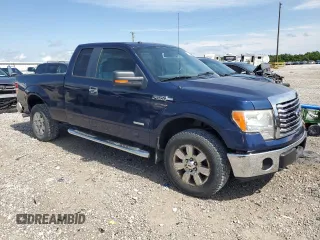 2011 Ford F-150 XL with VIN 1FTFX1ET5BFC44919, listed as a Copart auction lot 58514555 with 166,500 mi miles and Salvage title. Bid and sale history available at DreamBid. Image 4.