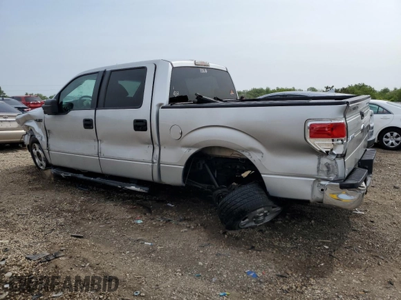 2009 Ford F-150 XL with VIN 1FTRW12859FA07325, listed as a Copart auction lot 59174215 with 242,328 mi miles and Salvage title. Bid and sale history available at DreamBid. Image 2.