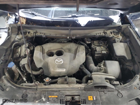 2016 Mazda CX-9 Touring with VIN JM3TCBCY2G0113001, listed as a Copart auction lot 42717945 with 136,250 mi miles and Salvage Title. Bid and sale history available at carsss.com. Image 14.
