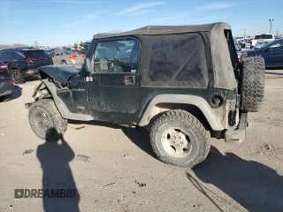 2002 Jeep Wrangler SE with VIN 1J4FA29P72P723223, listed as a Copart auction lot 80833004 with Not Provided miles and Salvage Title. Bid and sale history available at DreamBid. Image 2.