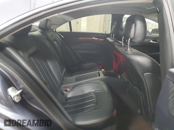 2015 Mercedes-Benz CLS 400 with VIN WDDLJ6HB8FA146478, listed as a Copart auction lot 48974385 with 123,916 mi miles and Salvage title. Bid and sale history available at DreamBid. Image 10.