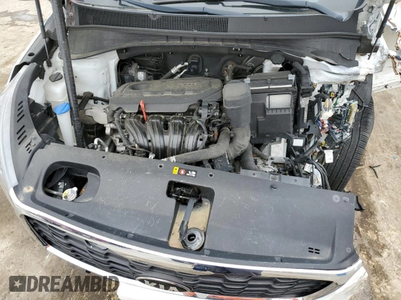 2019 Kia Sorento L with VIN 5XYPG4A37KG531610, listed as a Copart auction lot 54531895 with Not Provided miles and Salvage Title. Bid and sale history available at DreamBid. Image 12.