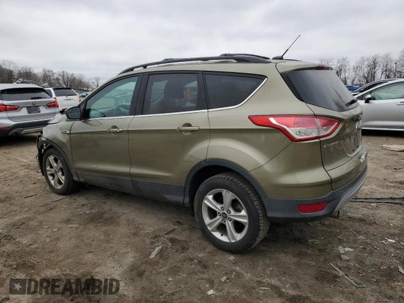2013 Ford Escape SE with VIN 1FMCU0GX0DUC83899, listed as a Copart auction lot 48912205 with 102,476 mi miles and Salvage Title. Bid and sale history available at DreamBid. Image 2.