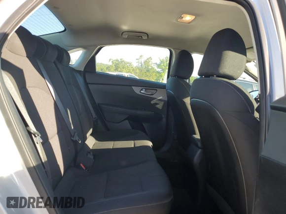 2019 Kia Forte LXS с VIN 3KPF24ADXKE083654, выставлен на аукционе Copart как лот 55408375 с пробегом 109 889 миль миль и Списание • Salvage title. История ставок и продаж доступна на DreamBid. Изображение 10.