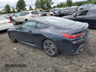 2019 BMW 8 Series M850i xDrive with VIN WBABC4C5XKBU95875, listed as a Copart auction lot 61893343 with 17,250 mi miles. Bid and sale history available at carsss.com. Image 2.