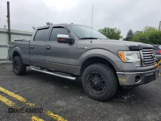 2010 Ford F-150 XL with VIN 1FTFW1EV1AFD48049, listed as a Copart auction lot 58571135 with 189,439 mi miles and Salvage title. Bid and sale history available at DreamBid. Image 4.