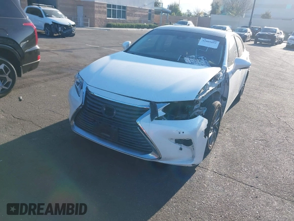 2018 Lexus ES with VIN 58ABK1GG8JU096535, listed as a IAAI auction lot 42009893 with 65,225 mi miles. Bid and sale history available at carsss.com. Image 19.