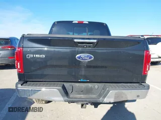 2016 Ford F-150 XLT with VIN 1FTEW1EPXGFA54123, listed as a IAAI auction lot 41760334 with Not provided miles and . Bid and sale history available at DreamBid. Image 17.