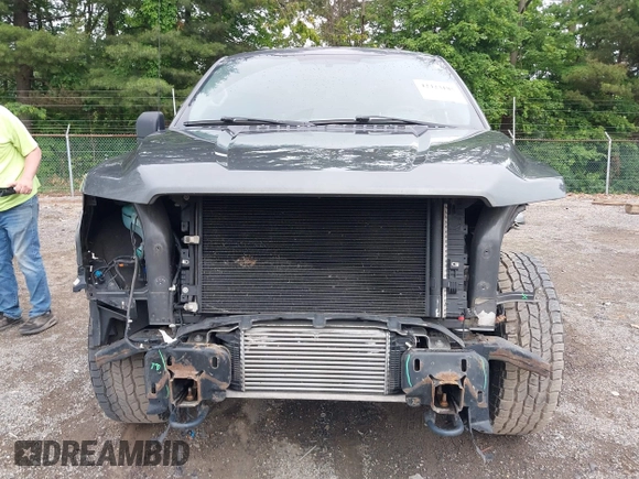 2018 Ford F-150 XL with VIN 1FTEX1EP6JFC61600, listed as a IAAI auction lot 42423185 with 161,991 mi miles and . Bid and sale history available at DreamBid. Image 13.