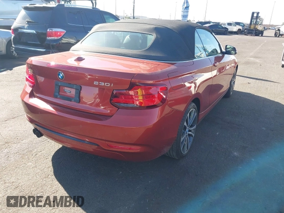 2018 BMW 2 Series 230i with VIN WBA2M7C55JVD51262, listed as a IAAI auction lot 41343333 with 29,537 mi miles. Bid and sale history available at carsss.com. Image 4.