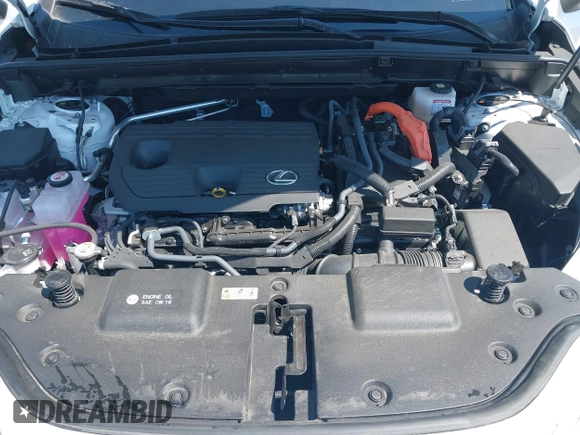 2024 Lexus NX 350h Premium with VIN JTJGKCEZ0R5023051, listed as a IAAI auction lot 42452192 with 16,495 mi miles and . Bid and sale history available at DreamBid. Image 10.