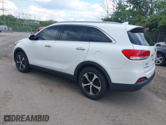 2017 Kia Sorento EX with VIN 5XYPH4A51HG294197, listed as a IAAI auction lot 42198002 with 277,128 mi miles and . Bid and sale history available at carsss.com. Image 3.