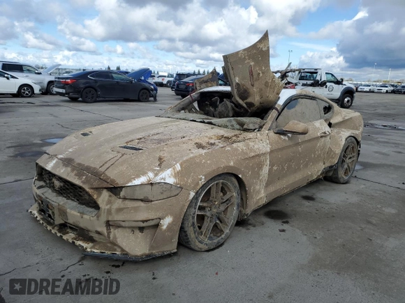 2021 Ford Mustang EcoBoost with VIN 1FA6P8TH6M5105940, listed as a Copart auction lot 48738865 with 0 mi miles and Non Repairable. Bid and sale history available at carsss.com. Image 1.