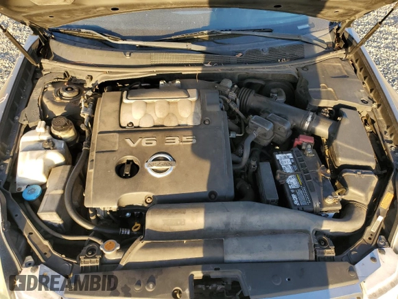 2006 Nissan Maxima 3.5 SE with VIN 1N4BA41EX6C806559, listed as a Copart auction lot 80998724 with 183,273 mi miles and Salvage Title. Bid and sale history available at carsss.com. Image 11.