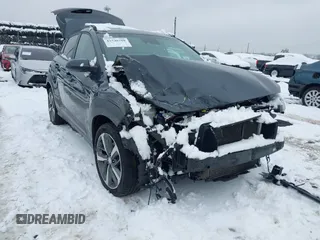 2019 Hyundai Kona Limited with VIN KM8K3CA5XKU382654, listed as a IAAI auction lot 41548709 with 82,089 mi miles. Bid and sale history available at carsss.com. Image 6.