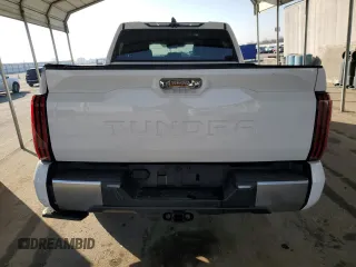 2022 Toyota Tundra Limited with VIN 5TFJA5ABXNX010225, listed as a Copart auction lot 41929245 with 28,476 mi miles and Salvage title. Bid and sale history available at DreamBid. Image 6.