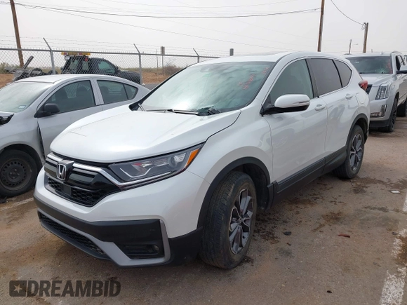 2022 Honda CR-V EX with VIN 7FARW2H50NE052730, listed as a IAAI auction lot 40717699 with 19,514 mi miles and . Bid and sale history available at DreamBid. Image 2.