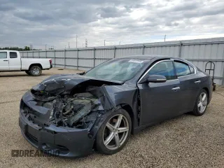 2010 Nissan Maxima SV with VIN 1N4AA5AP8AC825607, listed as a Copart auction lot 57077725 with 172,820 mi miles and Salvage title. Bid and sale history available at DreamBid. Image 1.