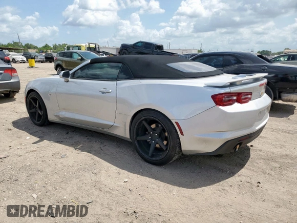 2019 Chevrolet Camaro 1LT with VIN 1G1FB3DS5K0119756, listed as a Copart auction lot 59923005 with 112,899 mi miles and Salvage title. Bid and sale history available at DreamBid. Image 2.