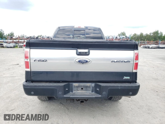 2010 Ford F-150 XL with VIN 1FTFW1EV3AFA38193, listed as a Copart auction lot 59061254 with 100,553 mi miles and Salvage Title. Bid and sale history available at carsss.com. Image 6.