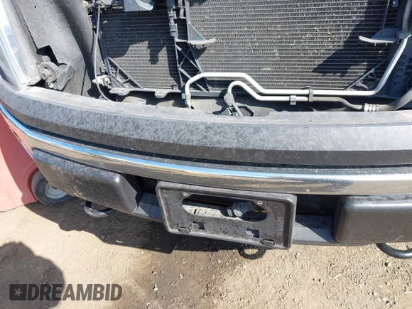 2009 Ford F-150 STX with VIN 1FTRX14829FA66049, listed as a IAAI auction lot 42111075 with 134,043 mi miles and . Bid and sale history available at DreamBid. Image 6.