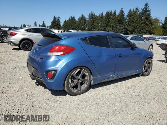 2016 Hyundai Veloster Turbo with VIN KMHTC6AE6GU250732, listed as a Copart auction lot 55528535 with Not provided miles and Clean title. Bid and sale history available at DreamBid. Image 3.