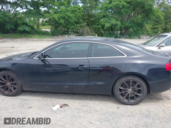2013 Audi A5 Premium Plus with VIN WAULFAFR6DA006082, listed as a IAAI auction lot 42270377 with 130,712 mi miles and . Bid and sale history available at DreamBid. Image 14.