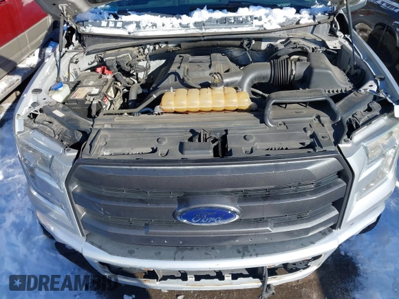 2016 Ford F-150 XLT with VIN 1FTEW1EP1GFD27420, listed as a IAAI auction lot 41212805 with 132,047 mi miles. Bid and sale history available at carsss.com. Image 10.