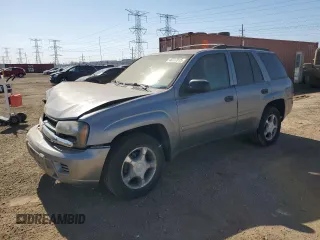 2007 Chevrolet TrailBlazer LS with VIN 1GNDT13S672294232, listed as a Copart auction lot 48737015 with 136,610 mi miles and Salvage Title. Bid and sale history available at DreamBid. Image 1.