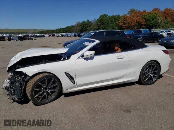 2019 BMW 8 Series M850i xDrive with VIN WBAFY4C54KBX29981, listed as a Copart auction lot 67390193 with 0 mi miles. Bid and sale history available at carsss.com. Image 1.