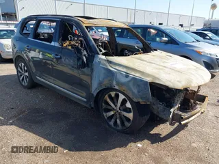 2021 Kia Telluride S with VIN 5XYP6DHC9MG177391, listed as a IAAI auction lot 41858649 with Not provided miles and . Bid and sale history available at DreamBid. Image 1.