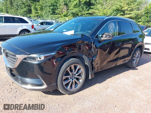 2018 Mazda CX-9 Grand Touring with VIN JM3TCBDYXJ0208962, listed as a IAAI auction lot 42629720 with 123,929 mi miles and . Bid and sale history available at DreamBid. Image 18.