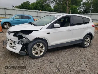 2013 Ford Escape SE with VIN 1FMCU0G91DUC27164, listed as a Copart auction lot 60989985 with 189,612 mi miles and Salvage title. Bid and sale history available at DreamBid. Image 1.