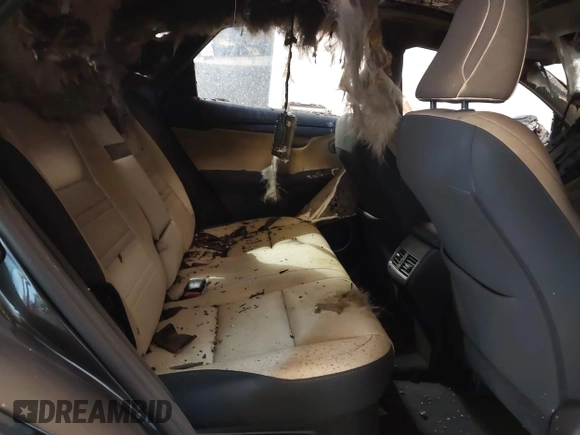 2018 Lexus NX 300 with VIN JTJYARBZ1J2113944, listed as a IAAI auction lot 41326341 with Not provided miles and . Bid and sale history available at DreamBid. Image 8.