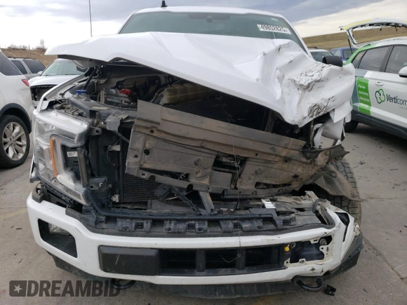 2019 Ford F-150 XL with VIN 1FTEW1E4XKKE81484, listed as a Copart auction lot 49852825 with 82,035 mi miles and Salvage Title. Bid and sale history available at carsss.com. Image 5.