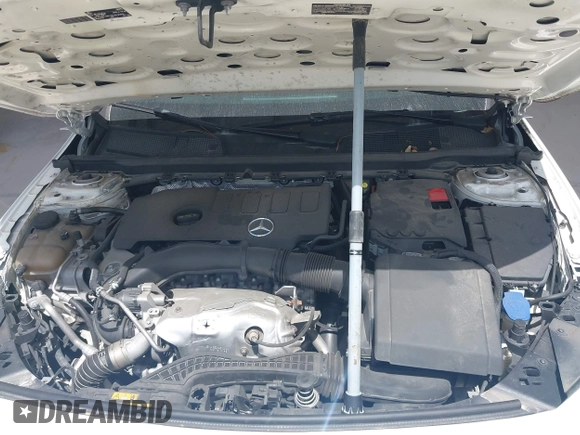 2019 Mercedes-Benz A 220 with VIN WDD3G4EB6KW024318, listed as a IAAI auction lot 41931809 with 66,033 mi miles and . Bid and sale history available at DreamBid. Image 10.