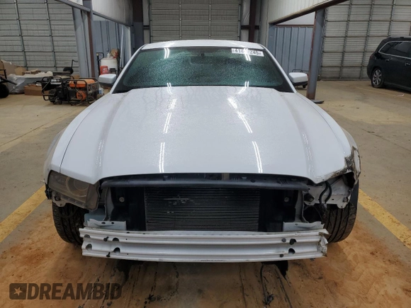 2014 Ford Mustang V6 with VIN 1ZVBP8AM0E5232495, listed as a Copart auction lot 41481245 with 118,917 mi miles and Salvage Title. Bid and sale history available at DreamBid. Image 5.
